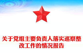 關于黨組主要負責人落實巡察整改工作的情況報告