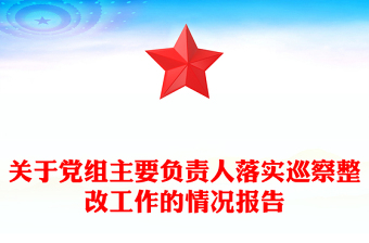 關(guān)于黨組主要負責人落實巡察整改工作的情況報告