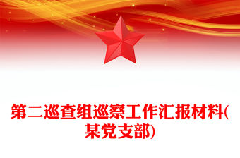 第二巡查組巡察工作匯報材料(某黨支部)