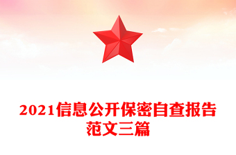 2021信息公開保密自查報告范文三篇
