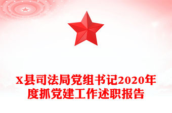 X縣司法局黨組書記2020年度抓黨建工作述職報告