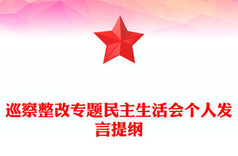 巡察整改專題民主生活會個人發言提綱