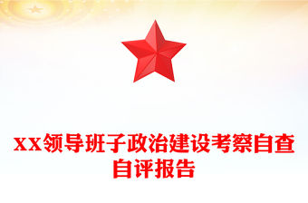 XX領導班子政治建設考察自查自評報告