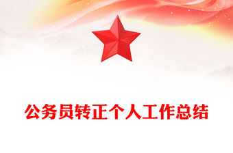 公務(wù)員轉(zhuǎn)正個人工作總結(jié)