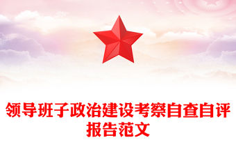 領導班子政治建設考察自查自評報告范文