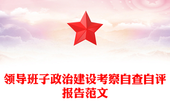 領(lǐng)導(dǎo)班子政治建設(shè)考察自查自評報(bào)告范文
