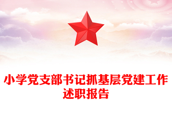 小學(xué)黨支部書記抓基層黨建工作述職報告