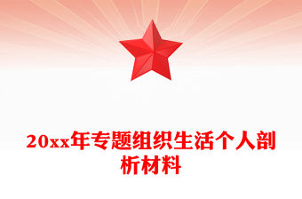 20xx年專題組織生活個人剖析材料