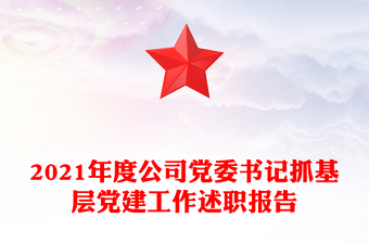 2021年度公司黨委書記抓基層黨建工作述職報(bào)告