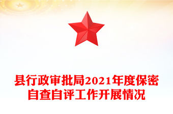 縣行政審批局2021年度保密自查自評工作開展情況