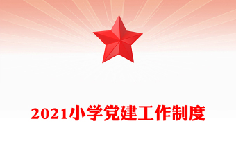 2021小學(xué)黨建工作制度