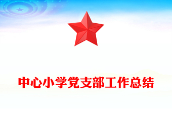 中心小學(xué)黨支部工作總結(jié)