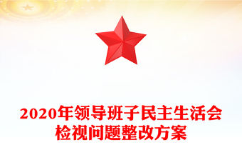 2020年領導班子民主生活會檢視問題整改方案