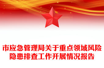 市應急管理局關于重點領域風險隱患排查工作開展情況報告