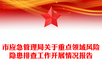 市應(yīng)急管理局關(guān)于重點(diǎn)領(lǐng)域風(fēng)險隱患排查工作開展情況報告