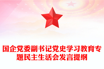 國企黨委副書記黨史學(xué)習(xí)教育專題民主生活會發(fā)言提綱