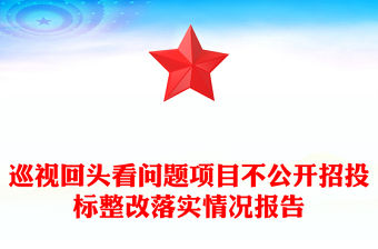 巡視回頭看問題項目不公開招投標整改落實情況報告