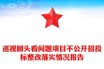巡視回頭看問題項目不公開招投標(biāo)整改落實情況報告