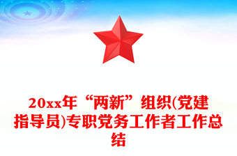 20xx年“兩新”組織(黨建指導(dǎo)員)專職黨務(wù)工作者工作總結(jié)