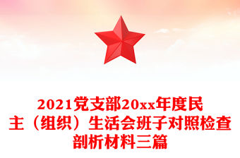 2021黨支部20xx年度民主（組織）生活會班子對照檢查剖析材料三篇