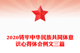 2020鑄牢中華民族共同體意識心得體會例文三篇