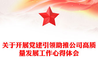 關于開展黨建引領助推公司高質量發展工作心得體會