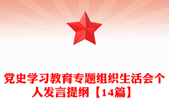 黨史學(xué)習(xí)教育專題組織生活會個人發(fā)言提綱【14篇】