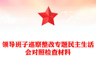 2022縣長涉糧問題專項巡視巡察整改專題民主生活會對照檢查材料