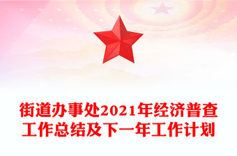 街道辦事處2021年經濟普查工作總結及下一年工作計劃