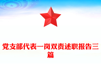 黨支部代表一崗雙責(zé)述職報(bào)告三篇