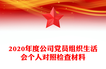 2020年度公司黨員組織生活會(huì)個(gè)人對(duì)照檢查材料