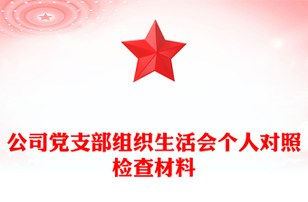 公司黨支部組織生活會個人對照檢查材料