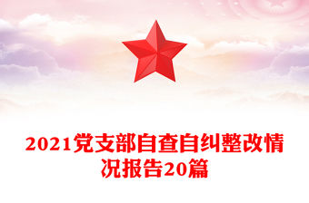2021黨支部自查自糾整改情況報告20篇
