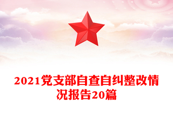 2021黨支部自查自糾整改情況報告20篇