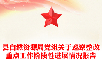 縣自然資源局黨組關(guān)于巡察整改重點(diǎn)工作階段性進(jìn)展情況報(bào)告