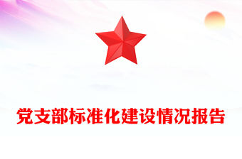 黨支部標準化建設(shè)情況報告