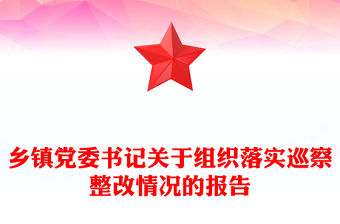 鄉鎮黨委書記關于組織落實巡察整改情況的報告