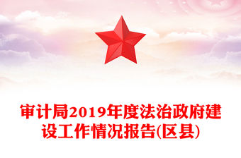 審計(jì)局2019年度法治政府建設(shè)工作情況報告(區(qū)縣)
