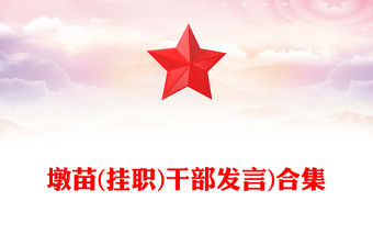 墩苗(掛職)干部發言)合集