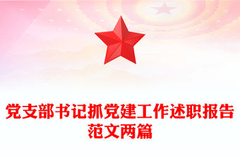 黨支部書記抓黨建工作述職報告范文兩篇