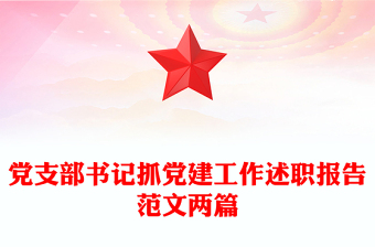 黨支部書記抓黨建工作述職報(bào)告范文兩篇