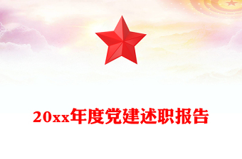 20xx年度黨建述職報(bào)告