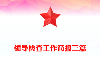 領(lǐng)導(dǎo)檢查工作簡(jiǎn)報(bào)三篇