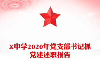 X中學2020年黨支部書記抓黨建述職報告
