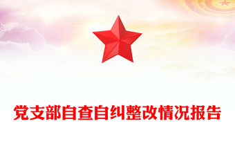 黨支部自查自糾整改情況報告