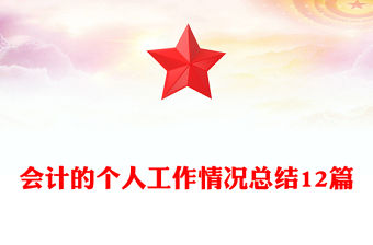 會計的個人工作情況總結(jié)12篇