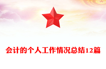 會(huì)計(jì)的個(gè)人工作情況總結(jié)12篇