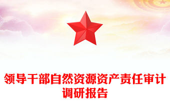 領(lǐng)導(dǎo)干部自然資源資產(chǎn)責(zé)任審計調(diào)研報告