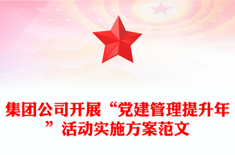 集團公司開展“黨建管理提升年”活動實施方案范文