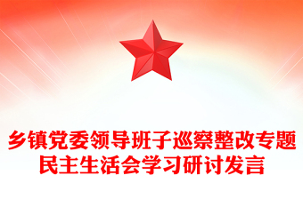 鄉(xiāng)鎮(zhèn)黨委領(lǐng)導(dǎo)班子巡察整改專題民主生活會(huì)學(xué)習(xí)研討發(fā)言